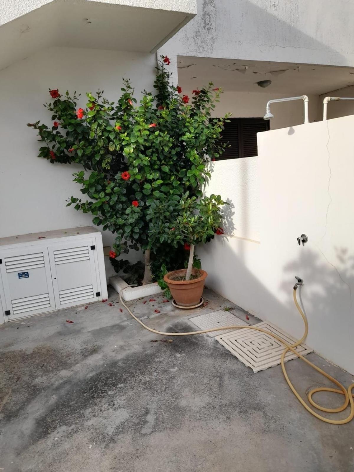 Rifinito Con Vista Panoramica A 50 Mt Dal Mare Holiday home